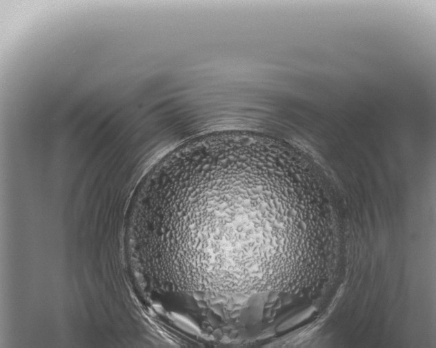 X0000060581121200511101649