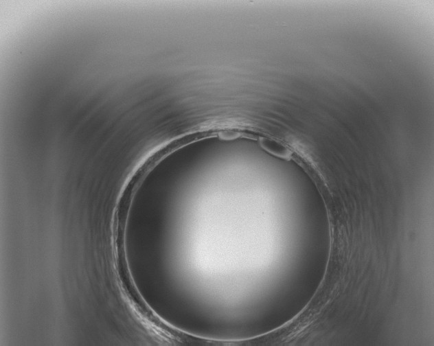 X0000060581124200511101649