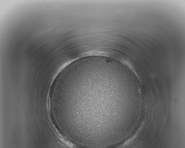 X0000060581125200511101649