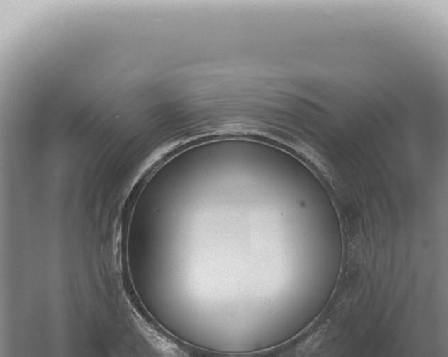 X0000060581126200511101649