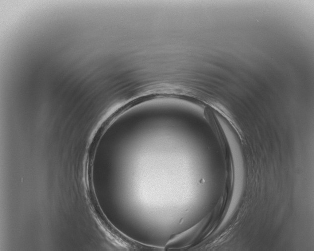 X0000060581128200511101649