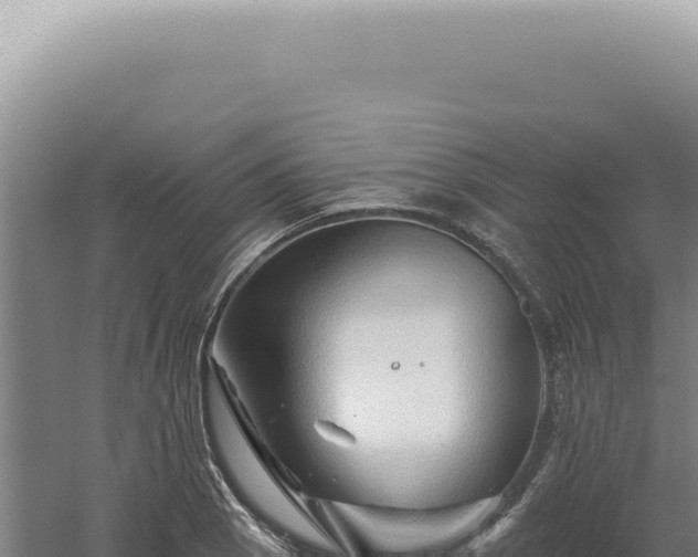 X0000060581129200511101649