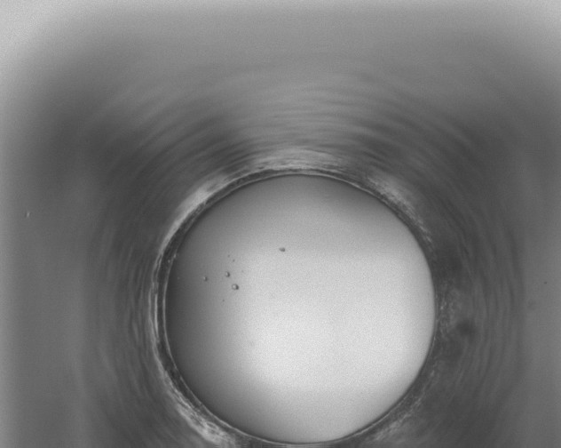 X0000060581130200511101649