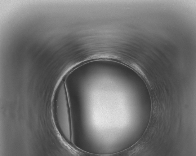 X0000060581132200511101649