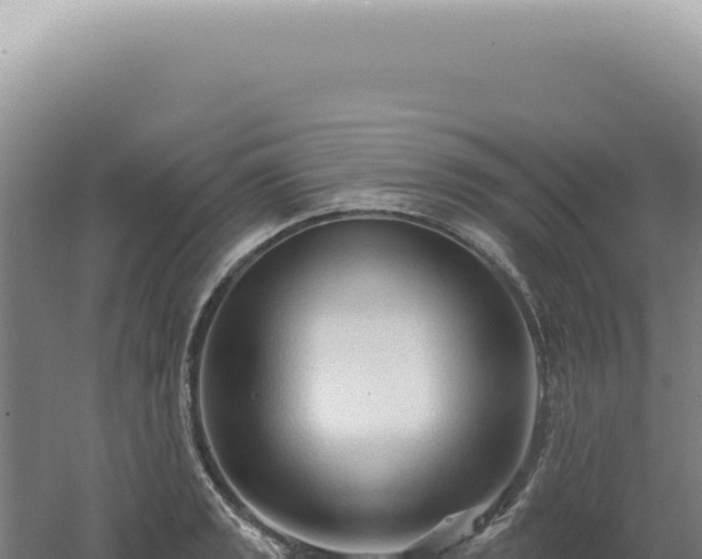 X0000060581133200511101649