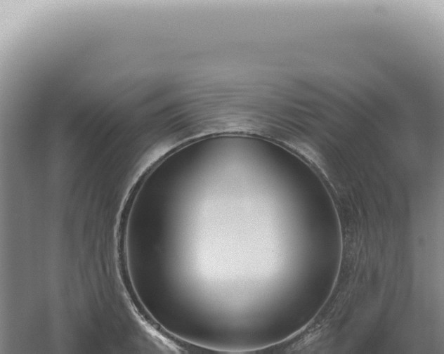 X0000060581135200511101649