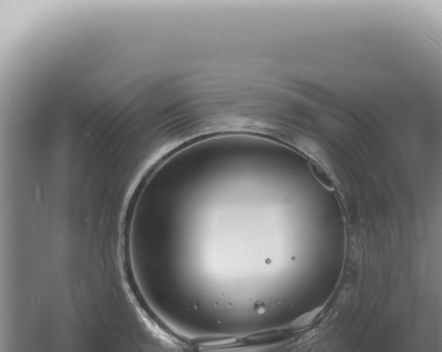 X0000060581136200511101649