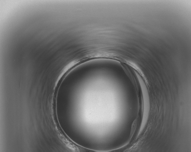 X0000060581138200511101649