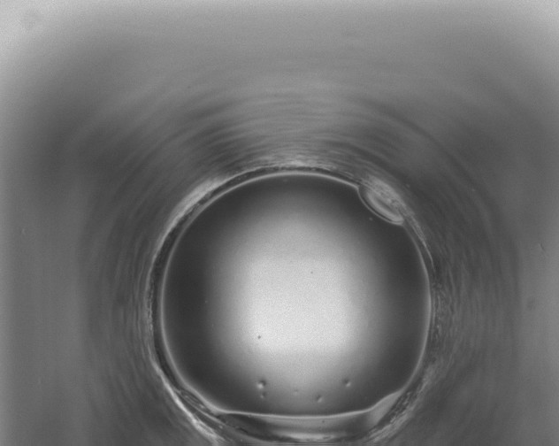 X0000060581141200511101649