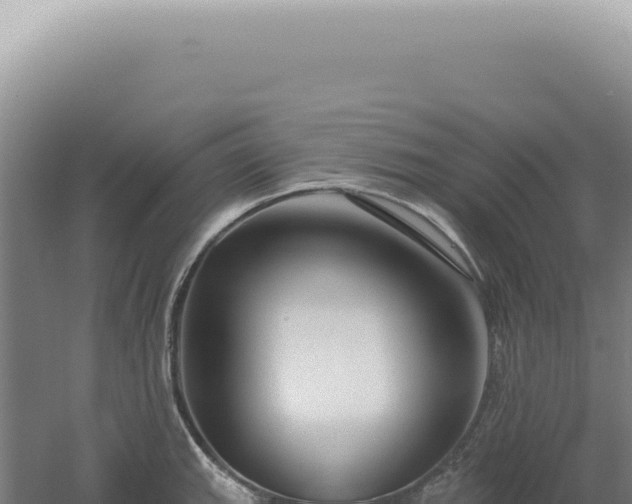 X0000060581143200511101649