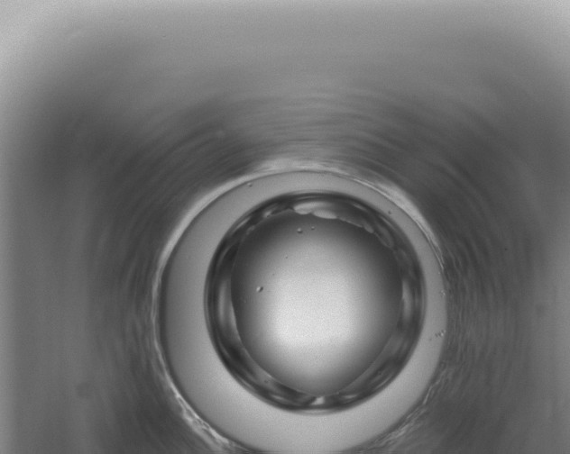 X0000060581148200511101649