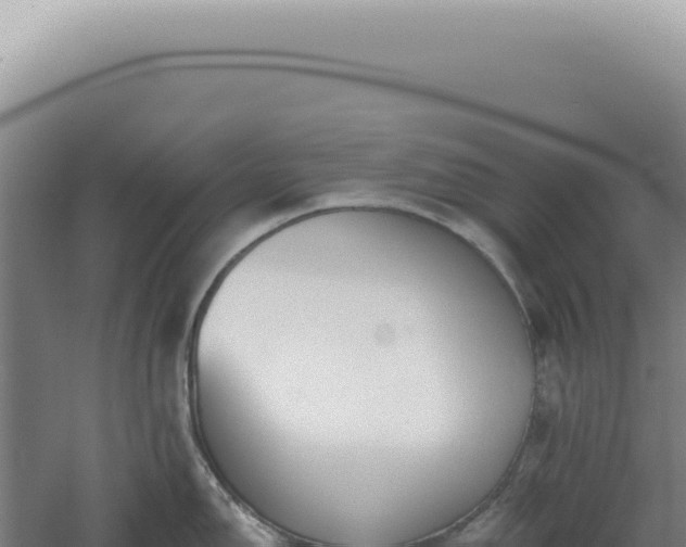 X0000060581150200511101649