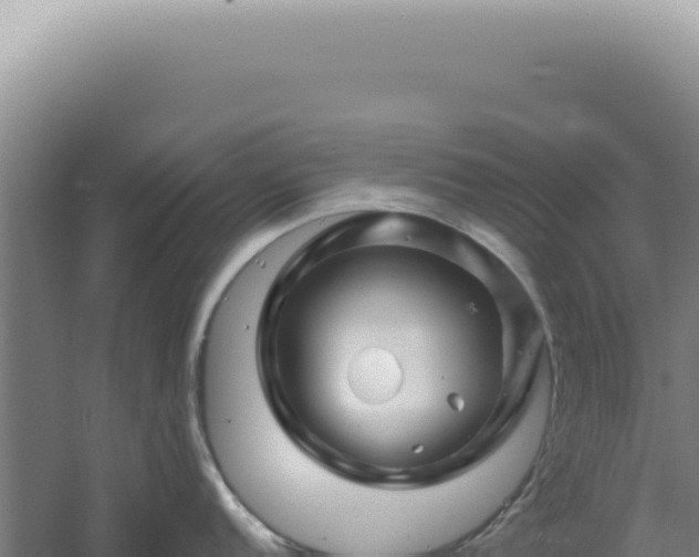 X0000060581152200511101649