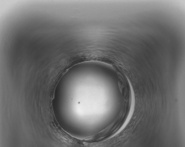 X0000060581153200511101648