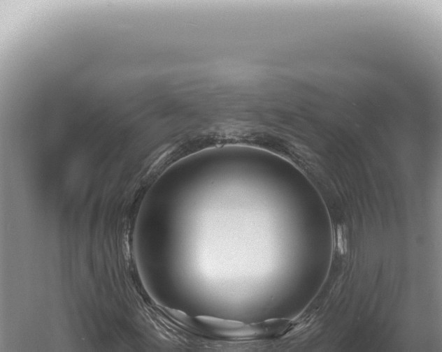 X0000060581155200511101648