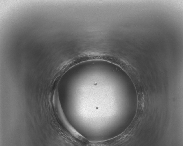 X0000060581157200511101648