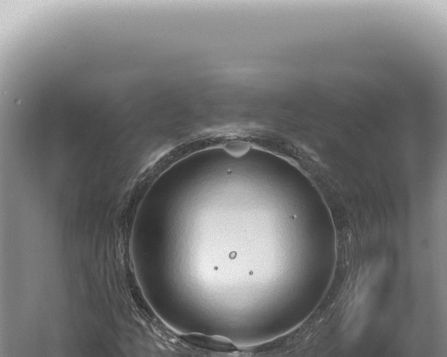 X0000060581158200511101648