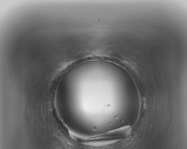 X0000060581159200511101648