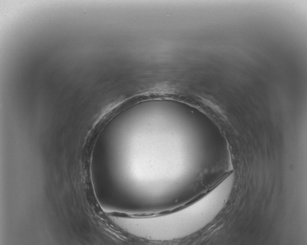 X0000060581160200511101648