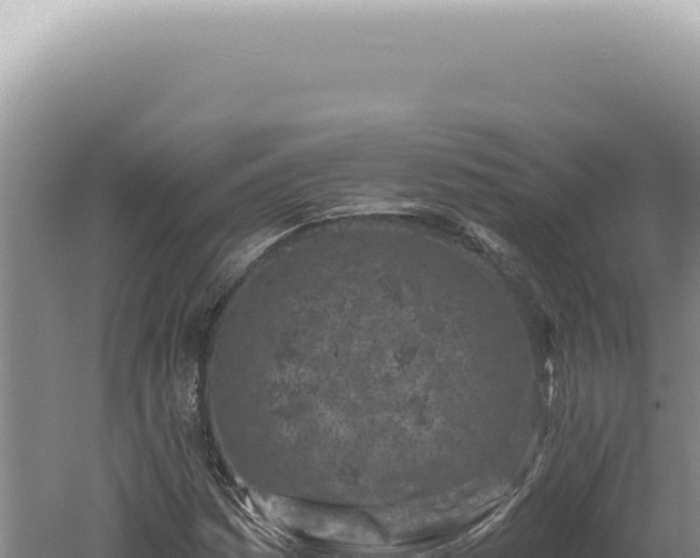 X0000060581161200511101648