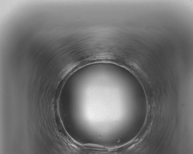 X0000060581162200511101648