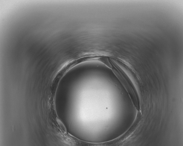 X0000060581163200511101648