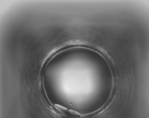 X0000060581167200511101648