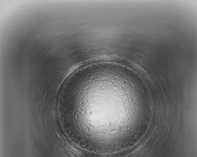 X0000060581170200511101648