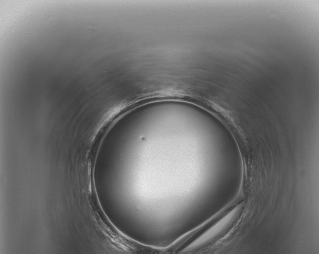 X0000060581171200511101648