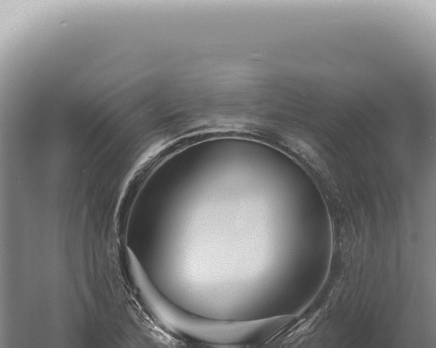 X0000060581172200511101648