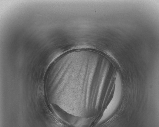 X0000060581173200511101648