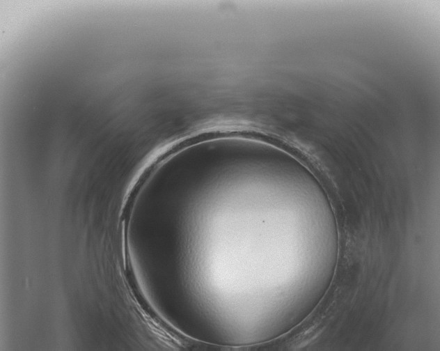 X0000060581175200511101648