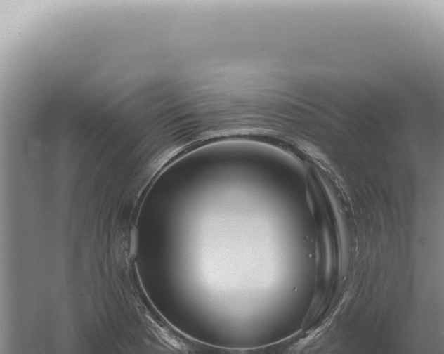 X0000060581177200511101648