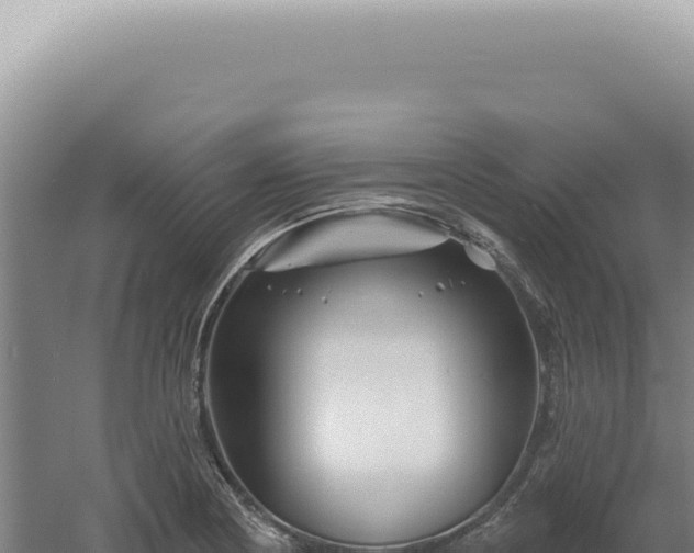 X0000060581178200511101648