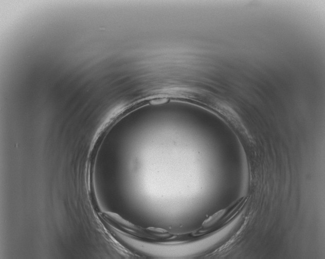 X0000060581180200511101648