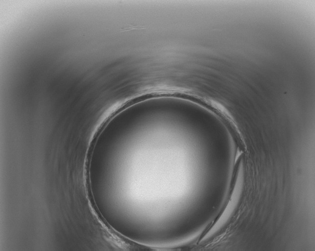 X0000060581183200511101648