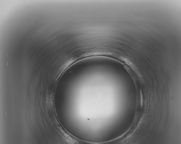 X0000060581185200511101648