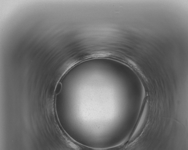 X0000060581186200511101648