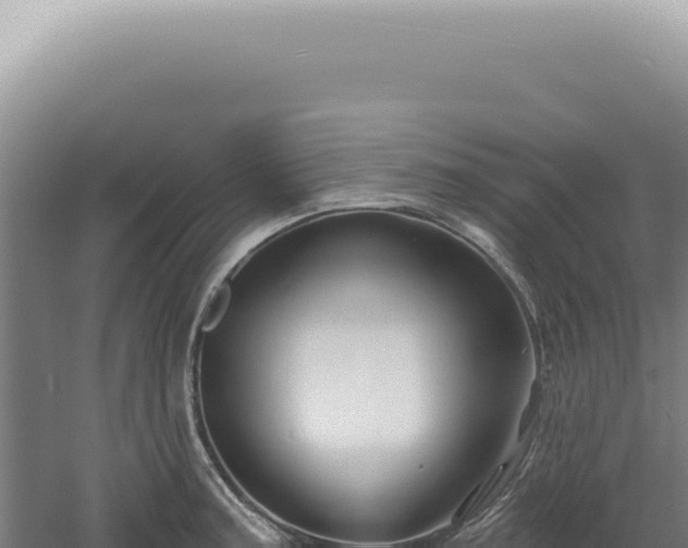 X0000060581187200511101648