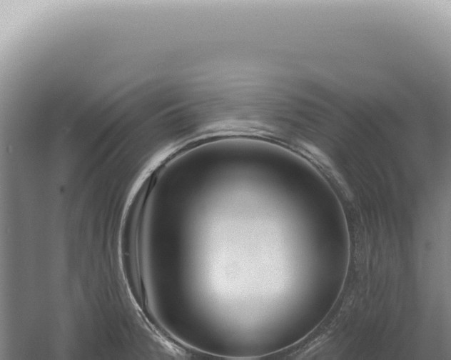 X0000060581188200511101648