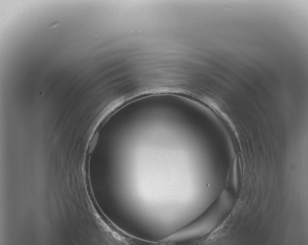 X0000060581189200511101648