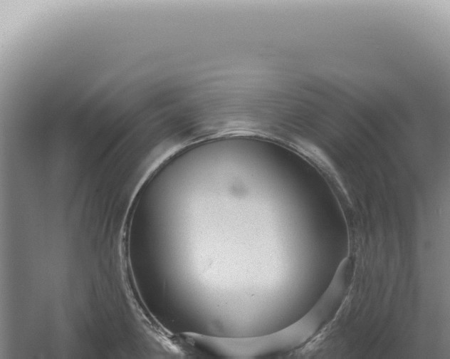 X0000060581190200511101648