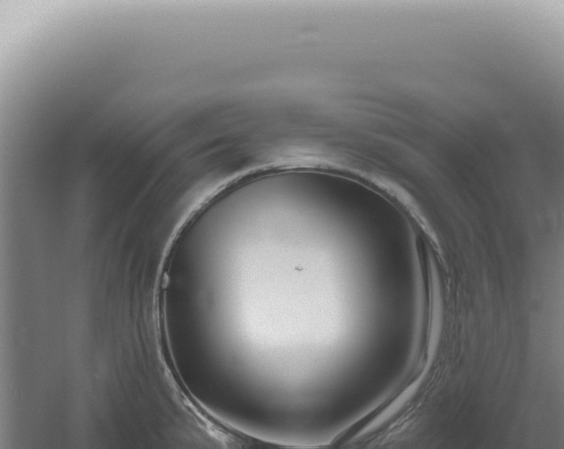 X0000060581191200511101648