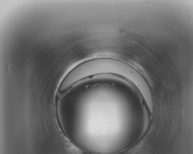 X0000060581192200511101648