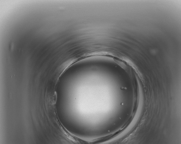 X0000060581193200511101648