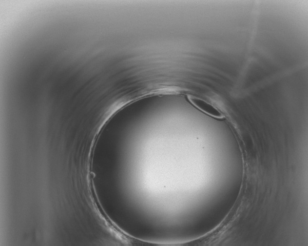 X0000060581194200511101648