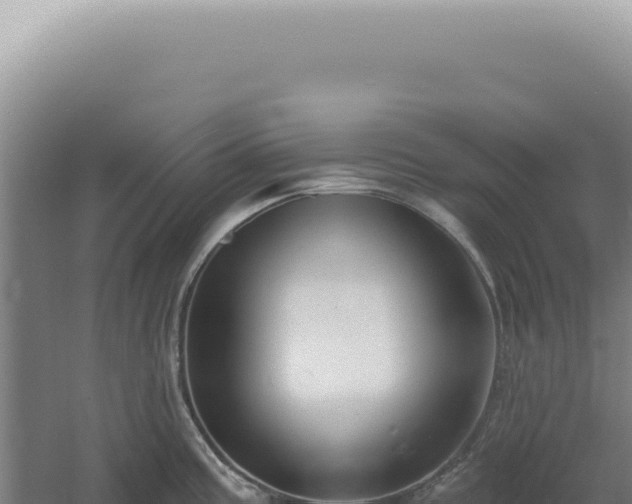 X0000060581195200511101648