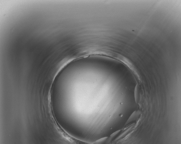 X0000060581198200511101647