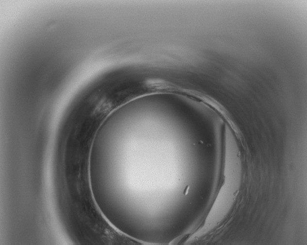 X0000060581199200511101647