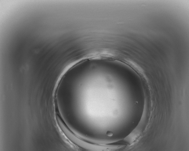 X0000060581200200511101647